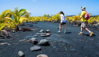 39+ The Big Island Travel&nbsp;Covid