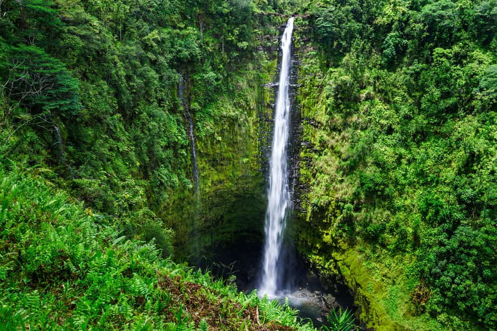 21+ What Not To Miss In Hilo Hawaii Package