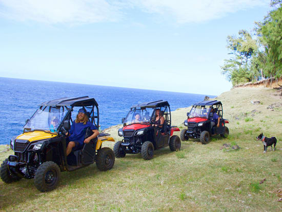 25+ Best Atv Tours Big Island&nbsp;Hawaii