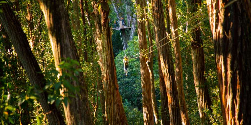 45+ Zipline Big Island Hawaii&nbsp;Packages