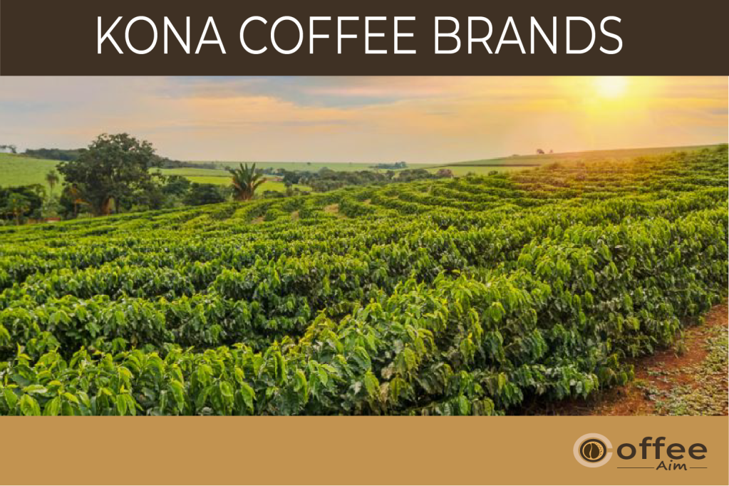 Exploring Coffee Farm In Kona Hawaii
