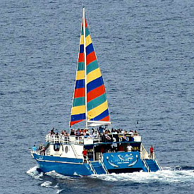 23+ Big Island Hawaii Boat&nbsp;Tours