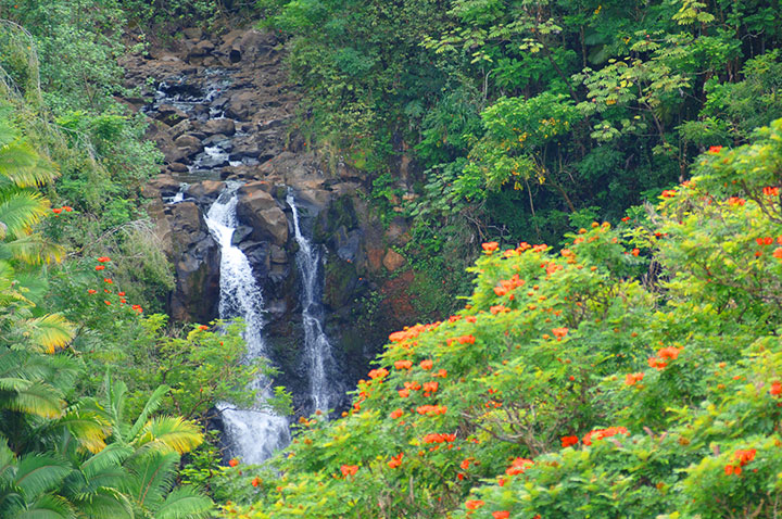 Amazing Big Island Hawaii Deals&nbsp;Packages