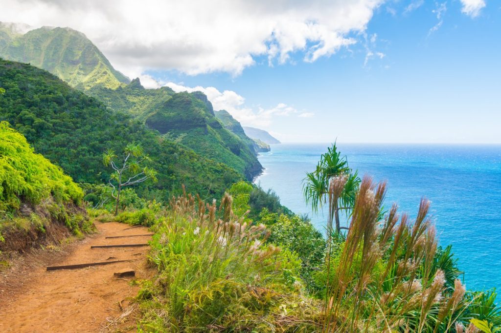 33+ Can You Travel To The Big Island Right Now&nbsp;Package