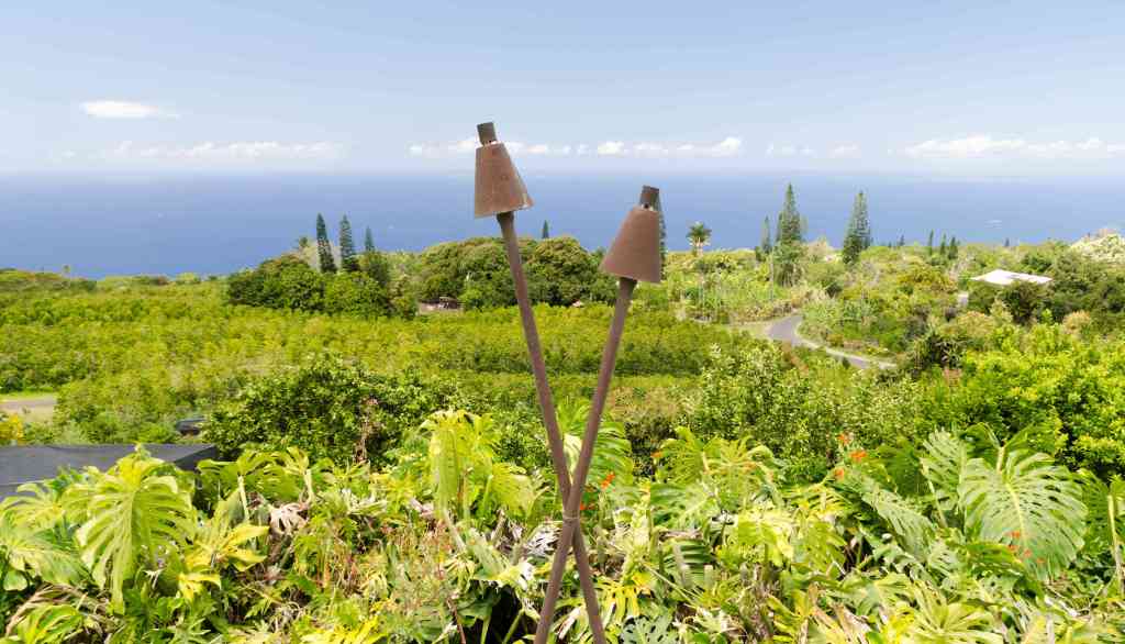 Exploring Coffee Tour Big Island Hawaii&nbsp;Packages