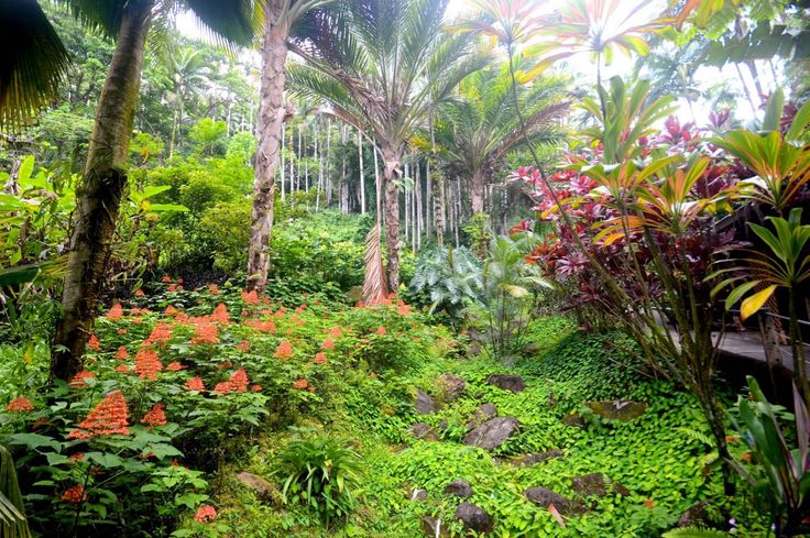 Exploring Hilo Botanical Gardens Tours Package