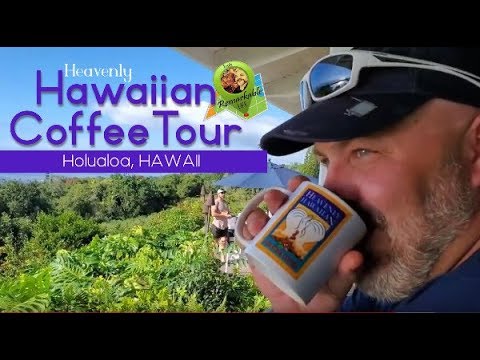 Exploring Oahu Coffee Farm Tour Package