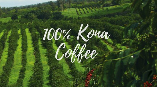 42+ Oahu Coffee Plantation Tour&nbsp;Packages