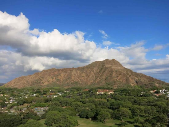 Oahu Coffee Tours