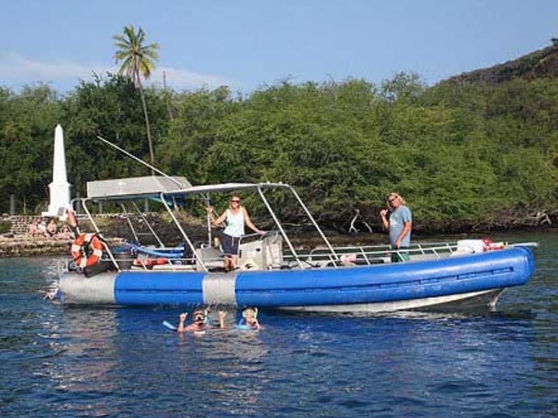 37+ Kona Dolphin Tours&nbsp;Packages