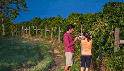 28+ Big Island Farms To Visit Packages