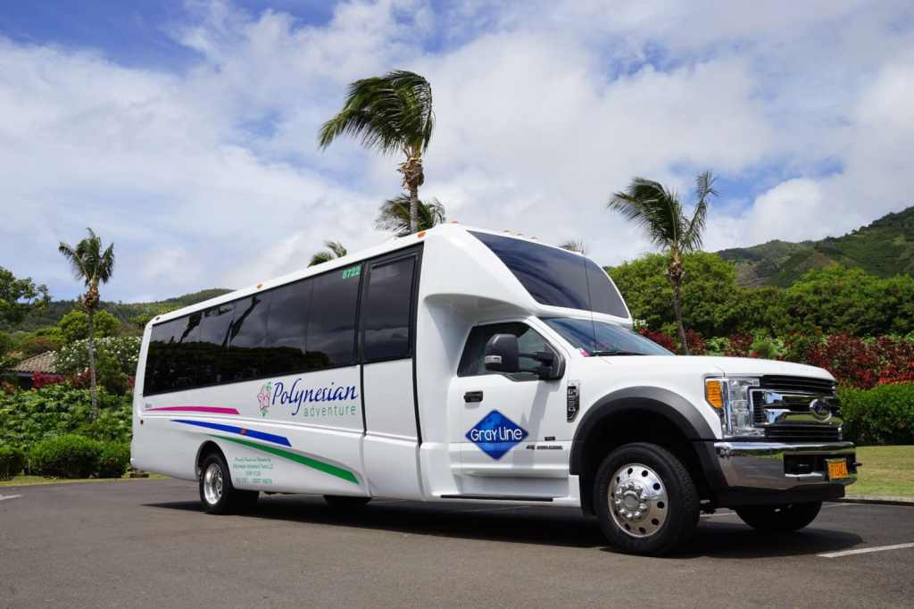 Exploring Big Island Hawaii Bus Tours
