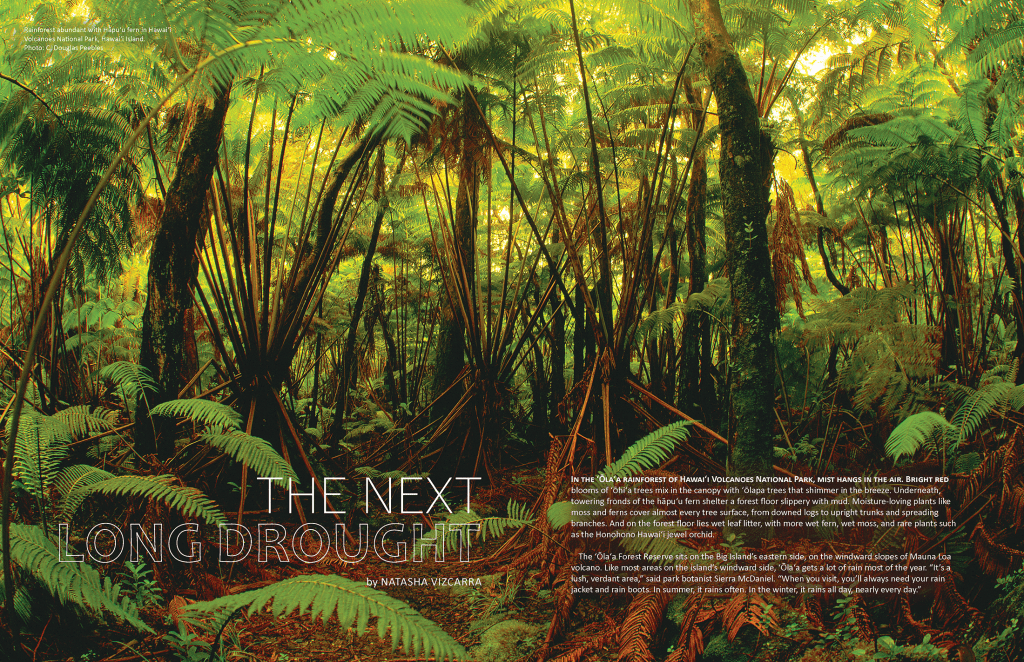 13+ Big Island Volcano National Park&nbsp;Weather