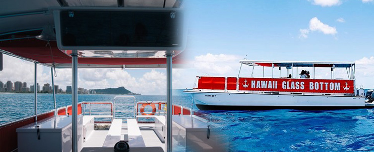 Amazing Kona Boat Trips