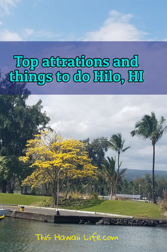 14+ Big Island Hilo Attractions