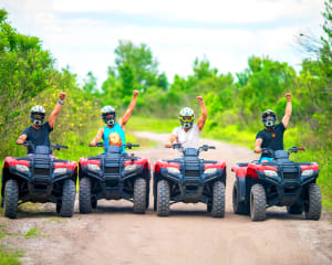 25+ Atv Rental Hawaii Big Island Packages