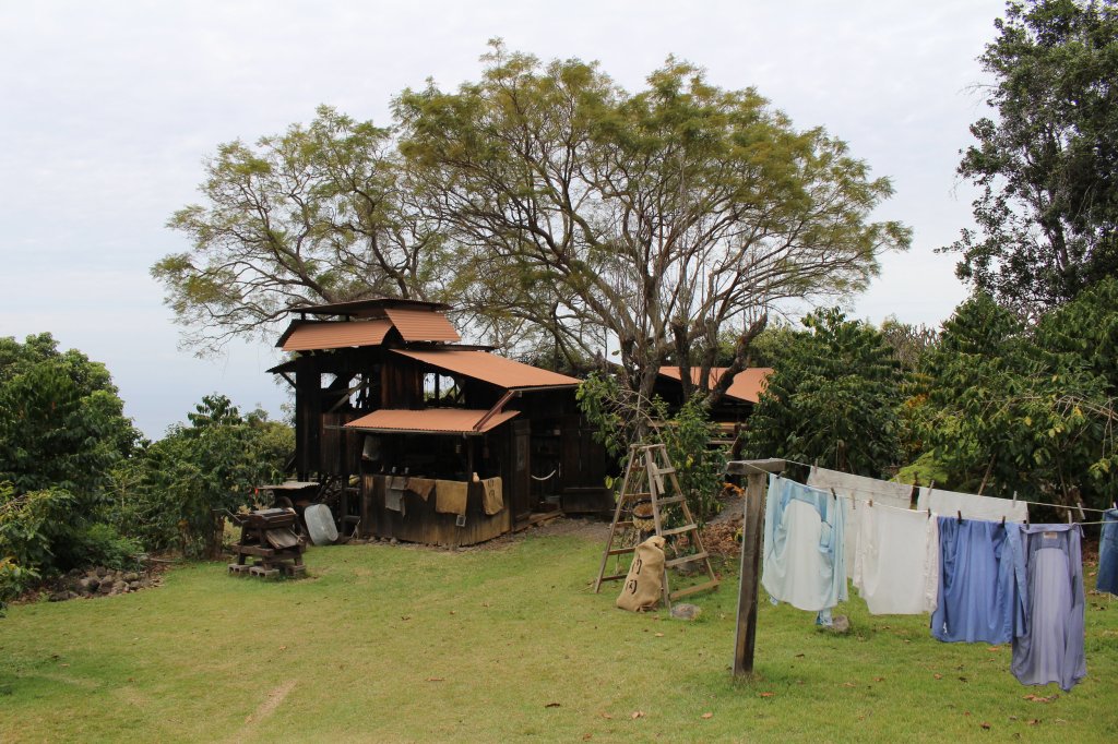 Amazing Visit Kona Coffee Plantation Package