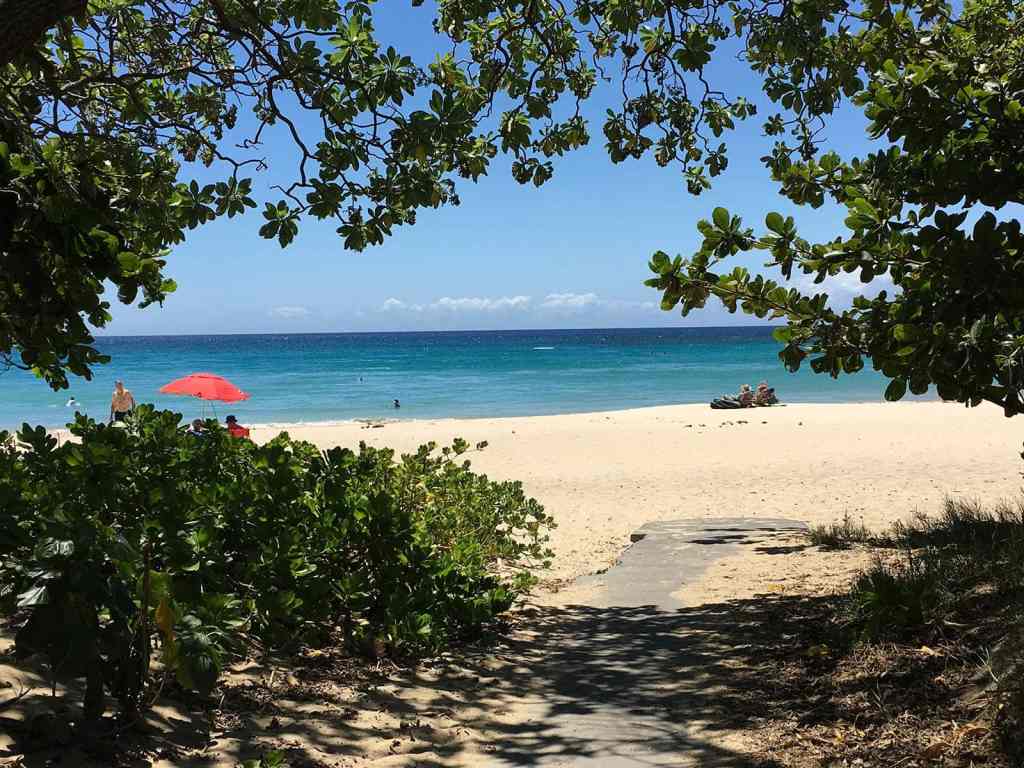 18+ Big Island Hawaii Vacation Guide&nbsp;Packages